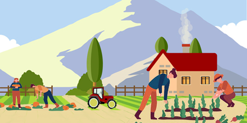 farm